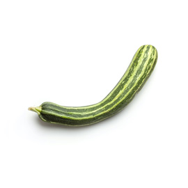 Snake gourd